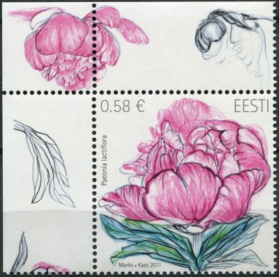 Эстония. 2011. Пион (Paeonia lactiflora) (III) (Почтовая марка. MNH OG)
