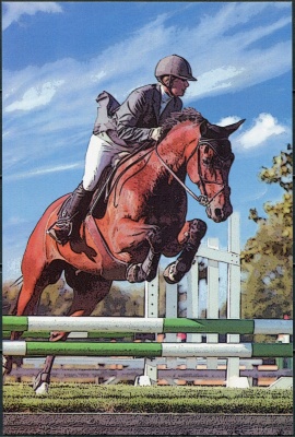 КНДР. 2012. Скачки (Открытка. Mint)