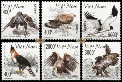 Вьетнам. 1998. Хищные птицы Азии (Серия. MNH OG)