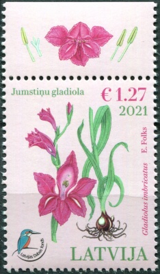 Латвия. 2021. Гладиолус черепитчатый (Gladiolus imbricatus) (Почтовая марка. MNH OG)