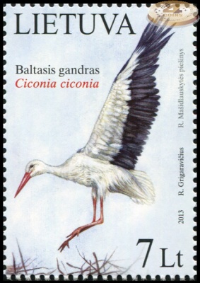 Литва. 2013. Белый аист (Ciconia ciconia) (Почтовая марка. MNH OG)