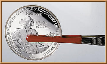 Пинцет нумизматический (Lindner)