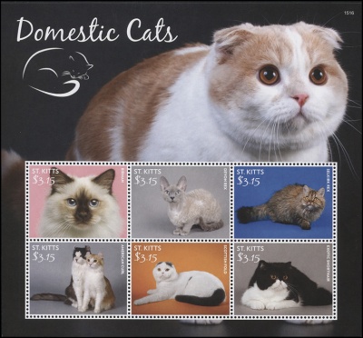 Сент-Китс. 2015. Домашние Кошки (Малый лист. MNH OG)