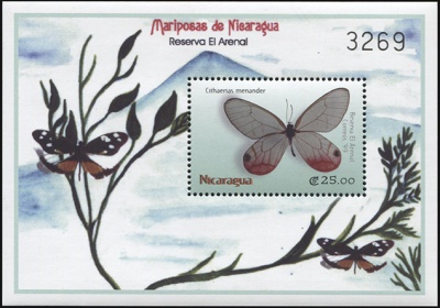 Никарагуа. 2000. Бабочки. Cithaerias menander (Блок. MNH OG)