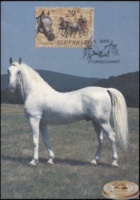 Словакия. 2005. Липпицианская лошадь (Картмаксимум. M)