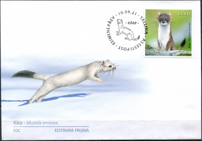 Эстония. 2021. Горностай (Mustela erminea) (Конверт Первого Дня. Mint)