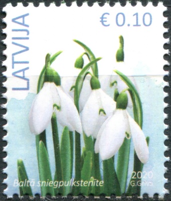 Латвия. 2020. Подснежник (Galanthus nivalis) (Почтовая марка. MNH OG)