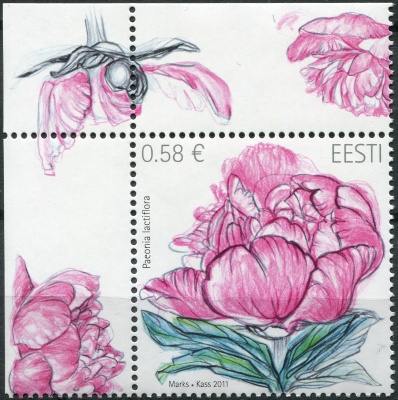Эстония. 2011. Пион (Paeonia lactiflora) (I) (Почтовая марка. MNH OG)
