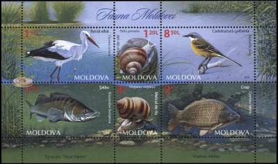 Молдова. 2014. Фауна Молдавии (Малый лист. MNH OG)