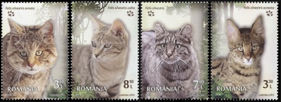 Румыния. 2014. Дикие Кошки (Серия. MNH OG)