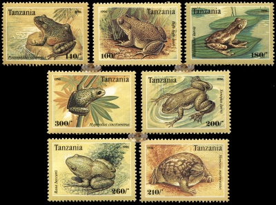 Танзания. 1995. Лягушки (Серия. MNH OG)