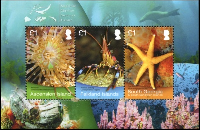 Остров Вознесения. 2013. Морская фауна (Блок. MNH OG)