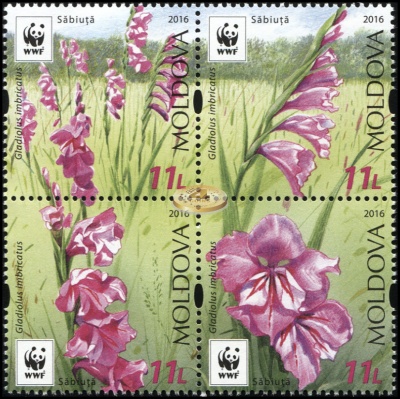 Молдова. 2016. Охраняемая Флора. Гладиолус (Квартблок. MNH OG)