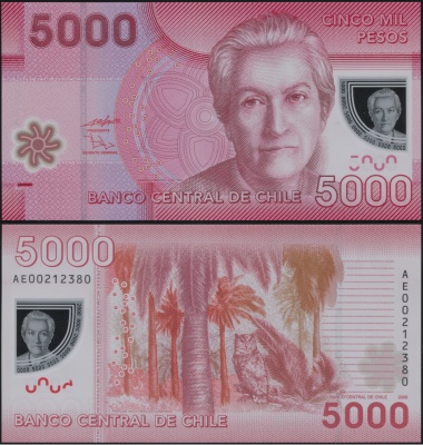 Чили Банкнота 5000 песо 2009 Unc Пластик Кат# P.163a