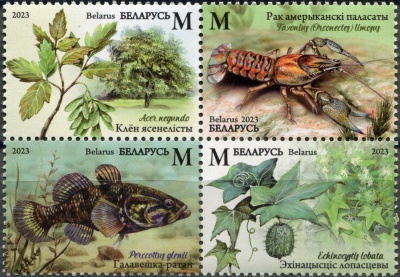Беларусь. 2023. Инвазивные виды флоры и фауны Беларуси (Квартблок. MNH OG)