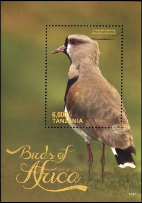 Танзания. 2016. Чибис венценосный [Vanellus coronatus] (Блок. MNH OG)