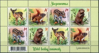 Беларусь. 2021. Детёныши животных (Малый лист. MNH OG)