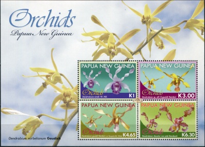 Папуа Новая Гвинея. 2010. Орхидеи (Блок. MNH OG)