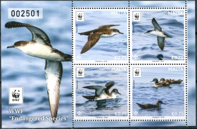 Мальта. 2016. Левантский буревестник (Puffinus yelkouan) (Почтовый блок. MNH OG)