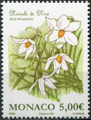 Монако. 2021. Французская снежинка (Acis nicaeensis) (Почтовая марка. MNH OG)
