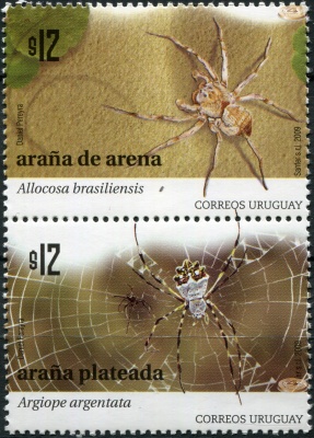 Уругвай. 2009. Пауки (Сцепка. MNH OG)