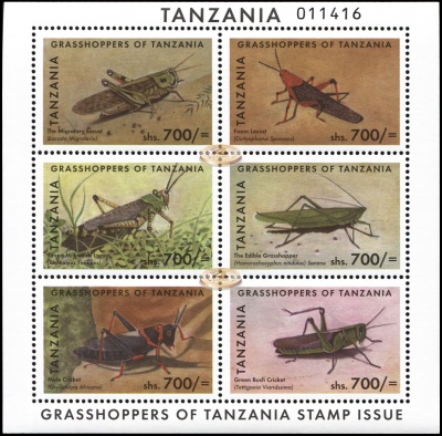 Танзания. 2011. Кузнечики Танзании (Малый лист. MNH OG)