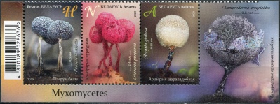 Беларусь. 2020. Миксомицеты (II) (Сцепка. MNH OG)