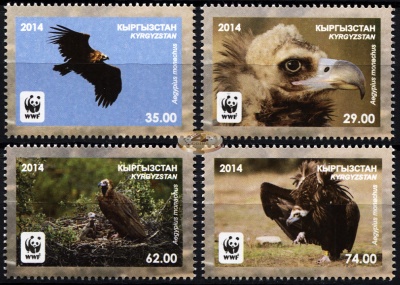 Кыргызстан. 2014. Чёрный гриф [Aegypius monachus] (Серия. MNH OG)