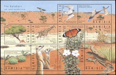 Намибия. 2014. Калахари - страна чудес (Малый лист. MNH OG)