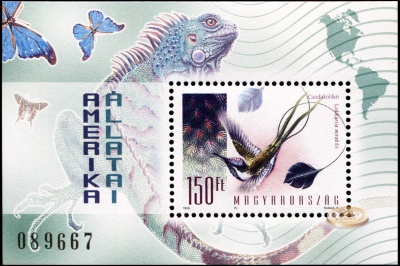 Венгрия. 1998. Фауна Америки. Лоддигезия (Блок. MNH OG)