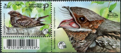 Беларусь. 2021. Обыкновенный козодой (Caprimulgus europaeus) (Почтовая марка. MNH OG)