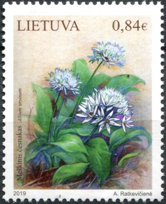 Литва. 2019. Черемша (Allium ursinum) (Почтовая марка. MNH OG)
