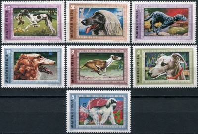 Венгрия. 1972. Собаки (Серия. MNH OG)