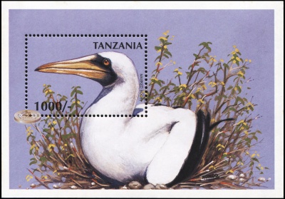 Танзания. 1997. Голуболицая олуша (Блок. MNH OG)