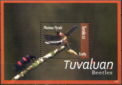 Тувалу. 2012. Светлячок (Photinus pyralis) (Блок. MNH OG)
