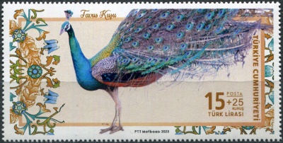 Турция. 2023. Обыкновенный павлин (Pavo cristatus) (Почтовая марка. MNH OG)