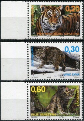 Люксембург. 2013. Большие кошки (Серия. MNH OG)