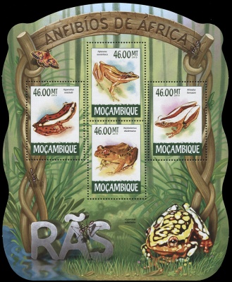 Мозамбик. 2015. Лягушки. Выпуск 1 (Блок. MNH OG)