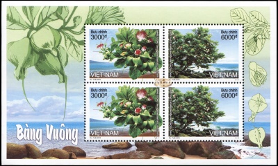 Вьетнам. 2016. Баррингтония азиатская (Малый лист. MNH OG)