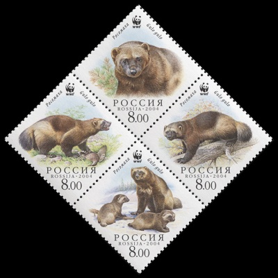 Россия. 2004. Росомаха (Gulo gulo) (Квартблок. MNH OG)