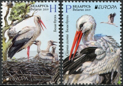 Беларусь. 2019. Национальные птицы. Белый аист (Серия Почтовых марок. MNH OG)