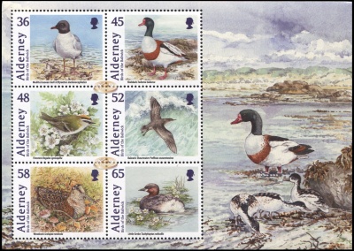 Олдерни. 2011. Птицы Олдерни (Малый лист. MNH OG)