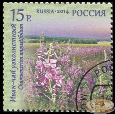 Россия. 2014. Иван-чай узколистный (Почтовая марка. CTO Гашеная)