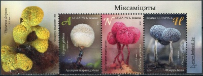 Беларусь. 2020. Миксомицеты (I) (Сцепка. MNH OG)