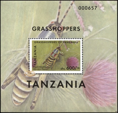 Танзания. 2011. Кузнечики Танзании. Zonocerus elegans (Блок. MNH OG)