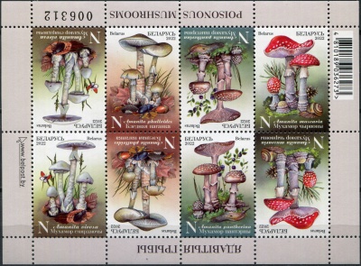 Беларусь. 2022. Ядовитые грибы Беларуси (Малый лист. MNH OG)