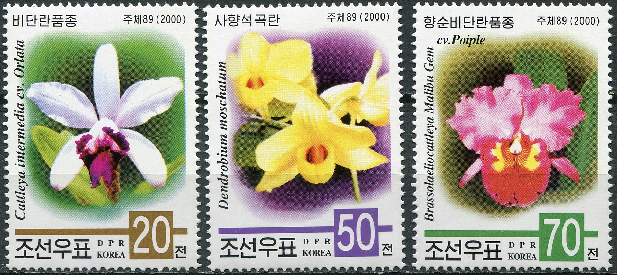 КНДР. 2000. Орхидеи (Серия. MNH OG)