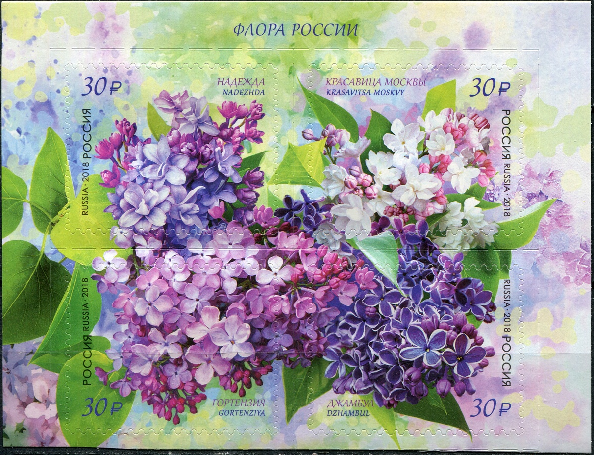 Россия. 2018. Сирень (Серия почтовых марок. MNH OG)