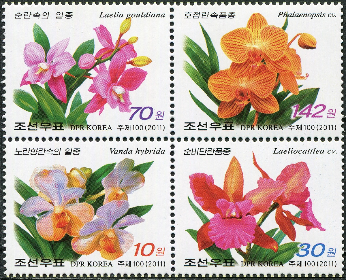 КНДР. 2011. Орхидеи (Квартблок. MNH OG)